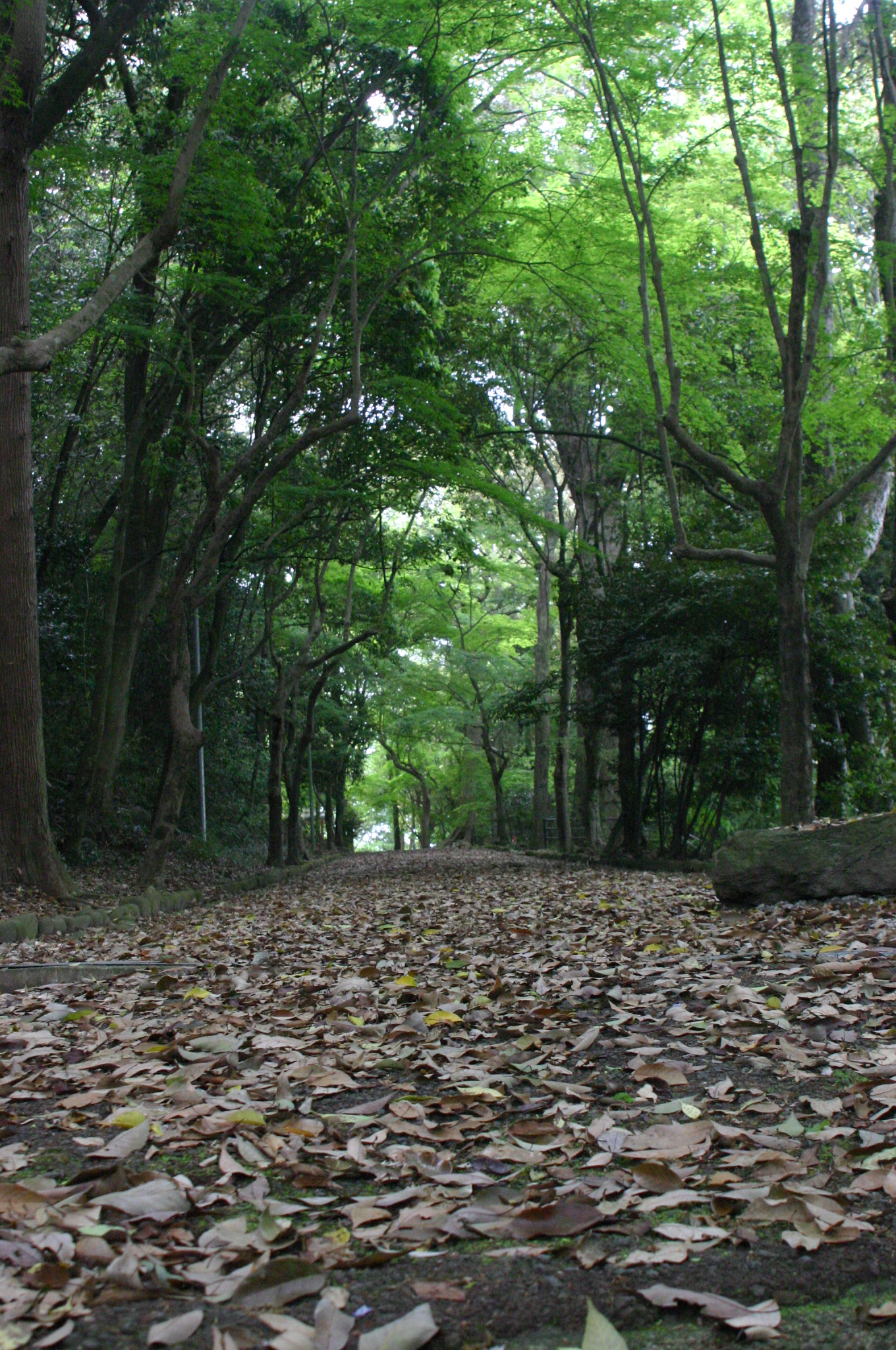 亀山公園